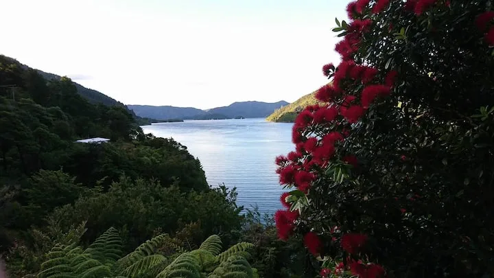 Ahuriri Hideaway