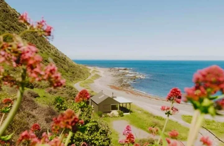 Beachfront, Abigail Bay Wellington south coast