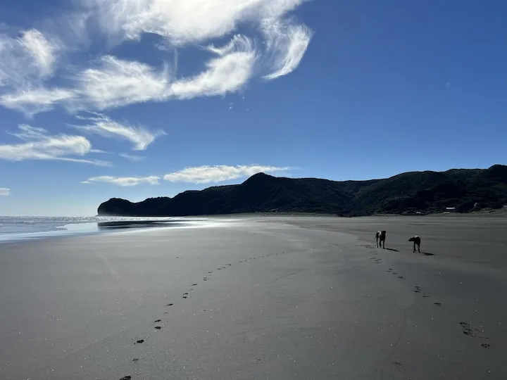 Beachfront Cosy caravan