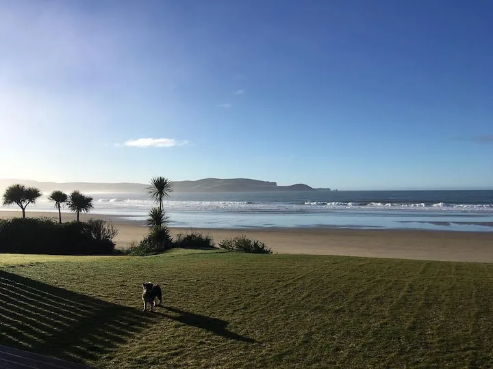 Beachside Bliss: Curio Bay Bach