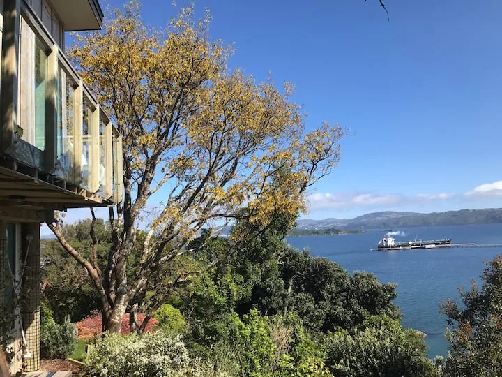 Bird’s Nest studio over the harbour