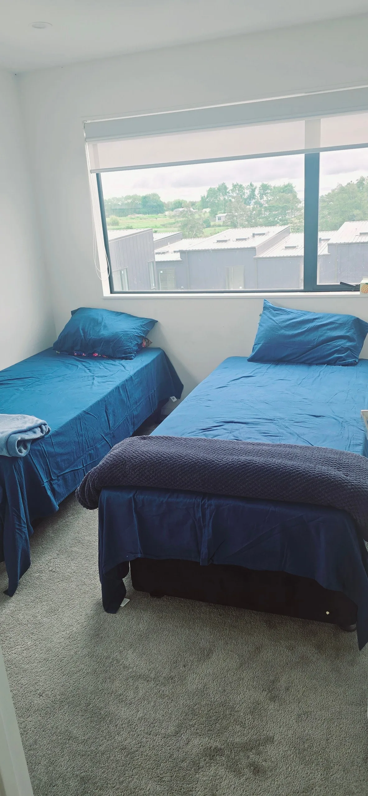 Cozy Guest Room in Flatbush