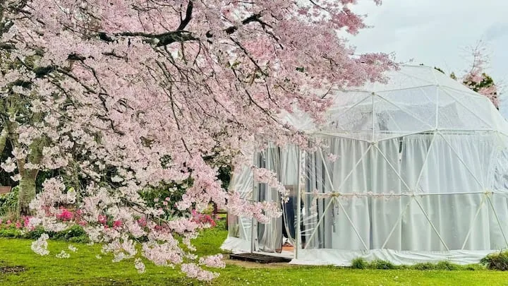 Glamping Dome at English Cherry Tree Manor