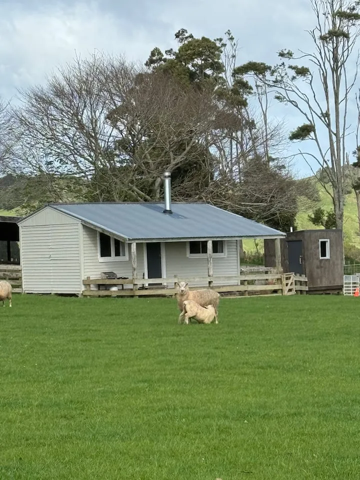 Glen Murray Polo Hut Farm Stay. Horse friendly