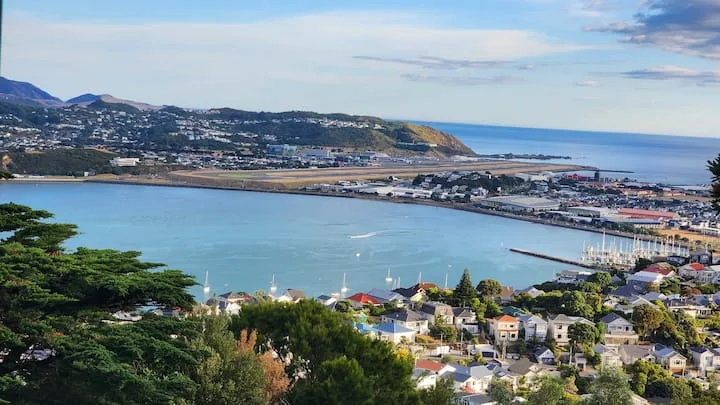 Hataitai Suite • Stunning 360° Bay & Airport View