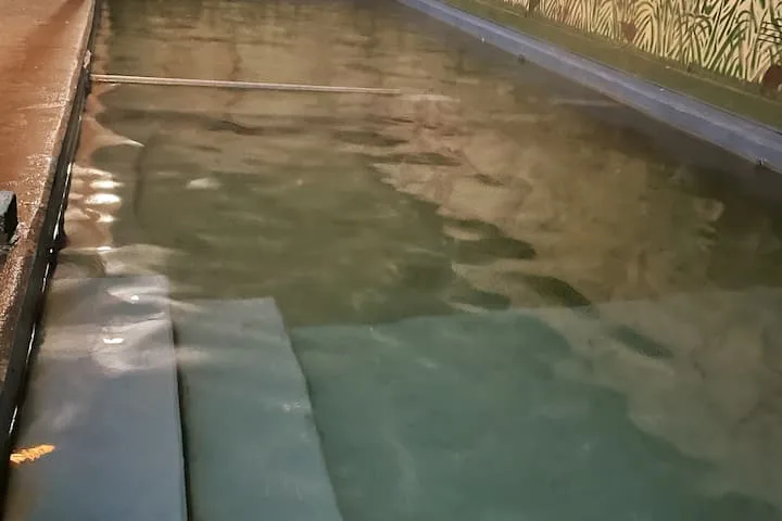 Hot pool holiday