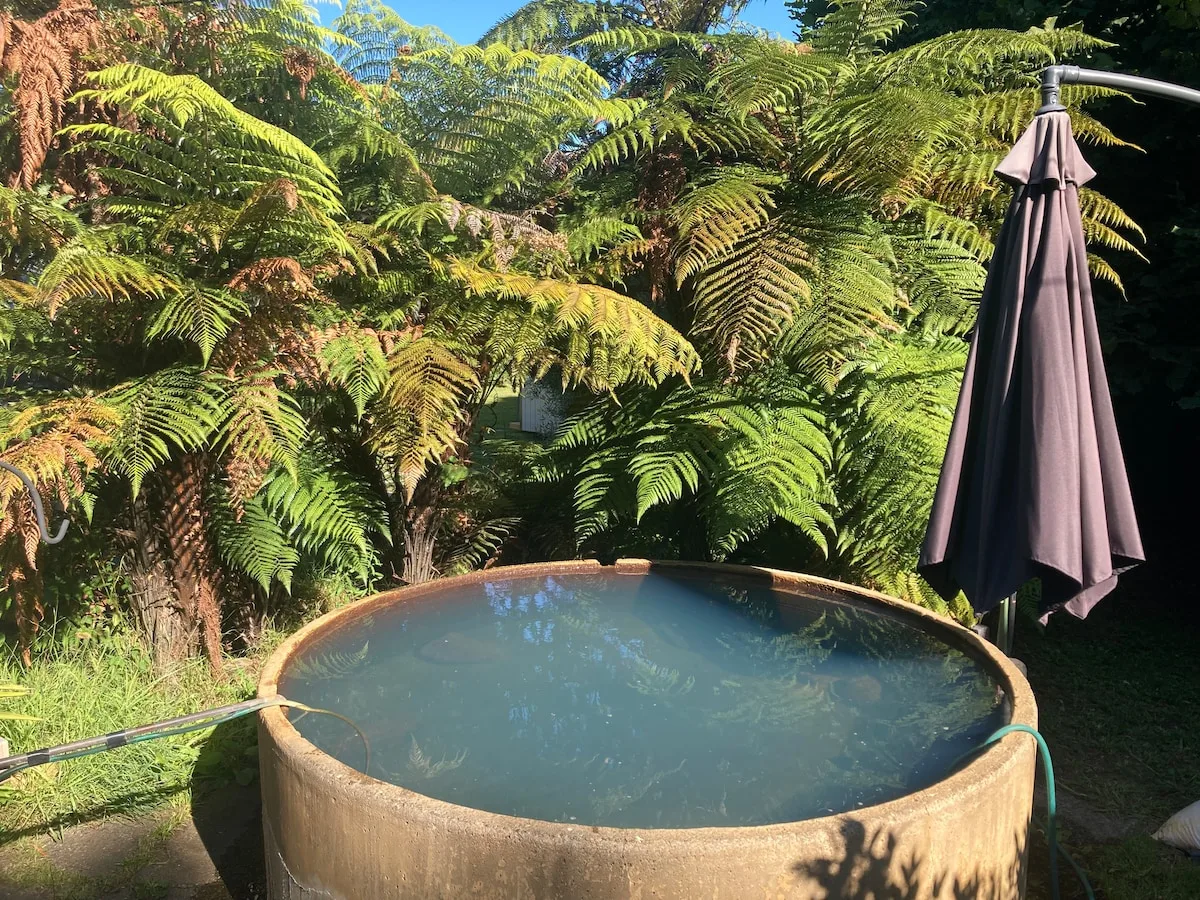 Kiwi cabin&geothermal pool by lake-no cleaning fee