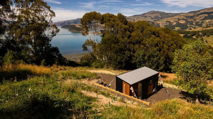 Kūkupa Puni at Akaroa Lavender by Tiny Away