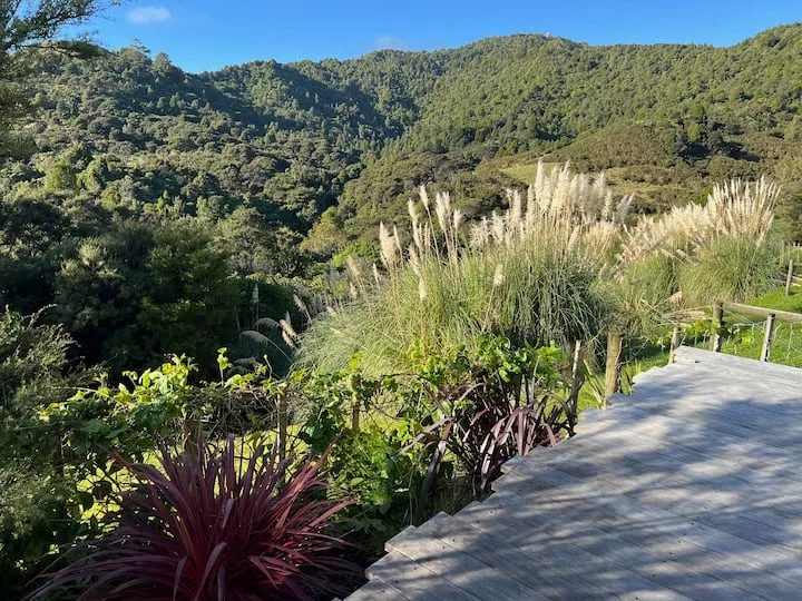 Nature retreat in the Matakana hills