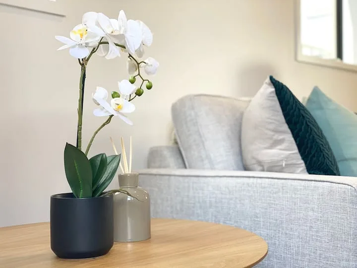 Outstanding Townhouse on Salisbury 1000M/S Fibre