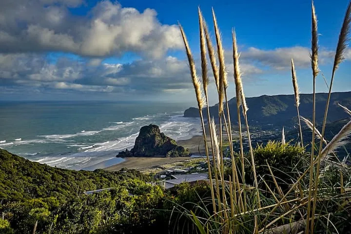 Piha cabins with great views + sunsets