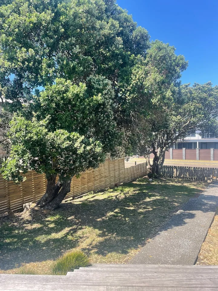 Pohutukawa Paradise