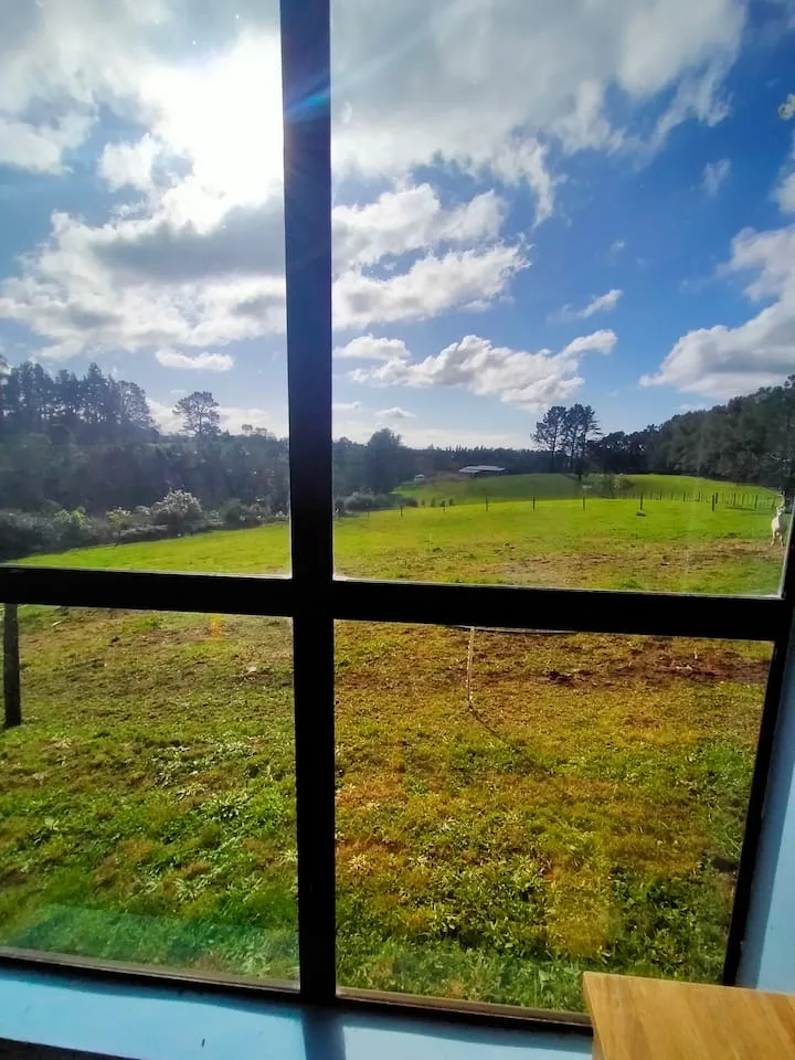 Rustic cabins on NZ  lifestyle block near Tauranga