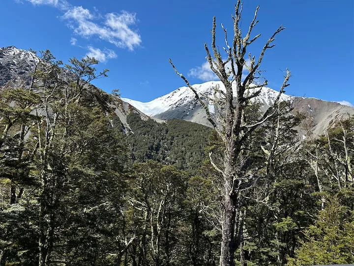 Summer Whakahaere - (CV Ski Field Managers Lodge)