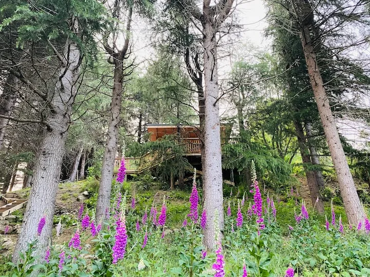 Surrounded by Nature