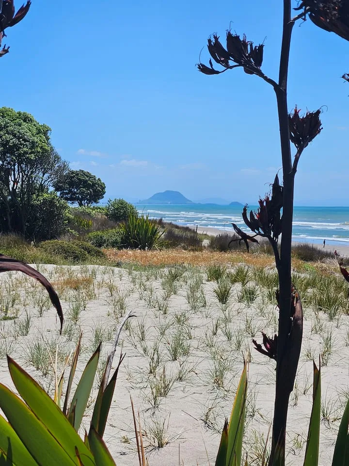 The Kiwi Beach Retreat