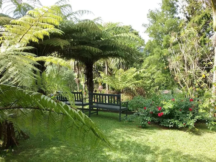 The Punga studio in Titirangi bush-garden setting