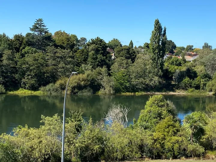 The Tree House
   On The River