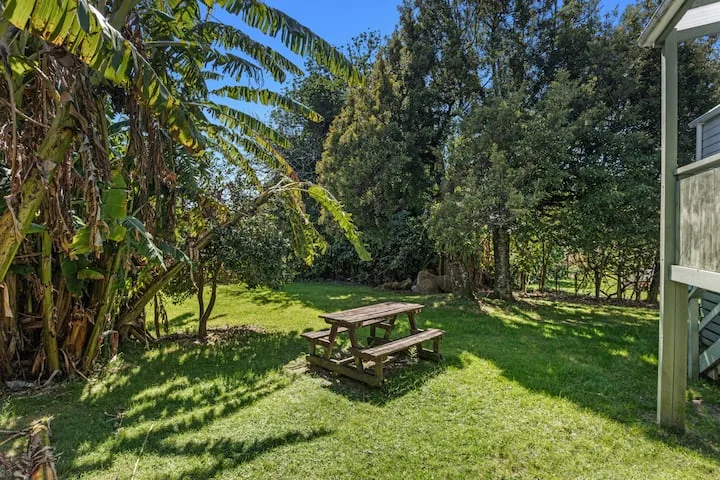 The Treehouse