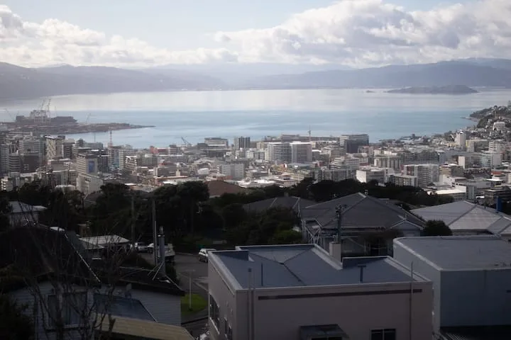 Up with the birds in Brooklyn, Wellington