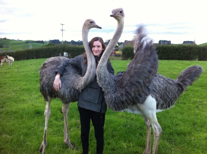Waitomo Big Bird B&B – Double/Ensuite/Kitchen