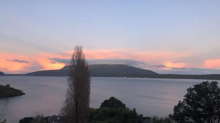 Whare Rakau - The Tree House